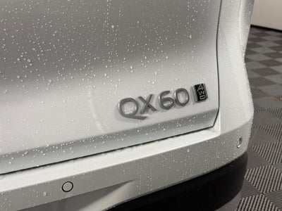 2026 INFINITI QX60 LUXE